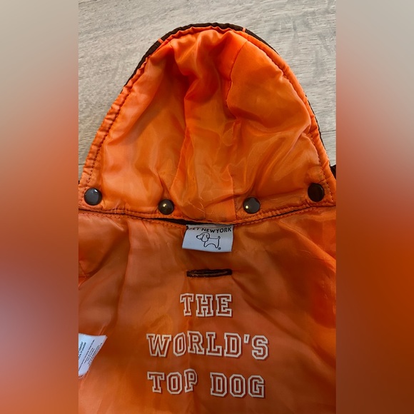 Winter dog coat with removable hood - Picture 3 of 4